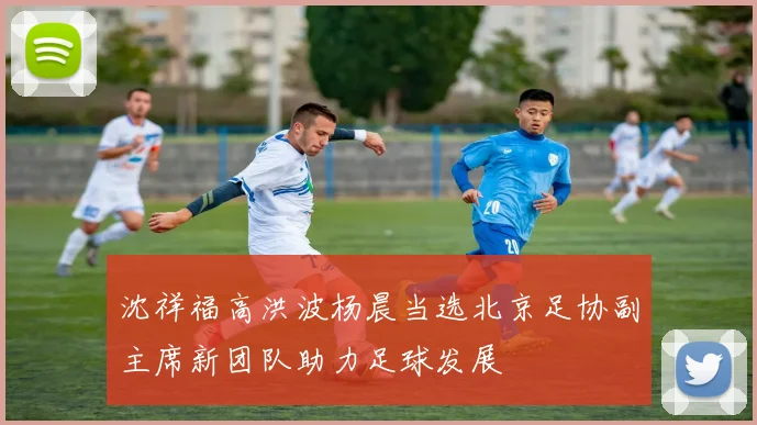 沈祥福高洪波杨晨当选北京足协副主席新团队助力足球发展