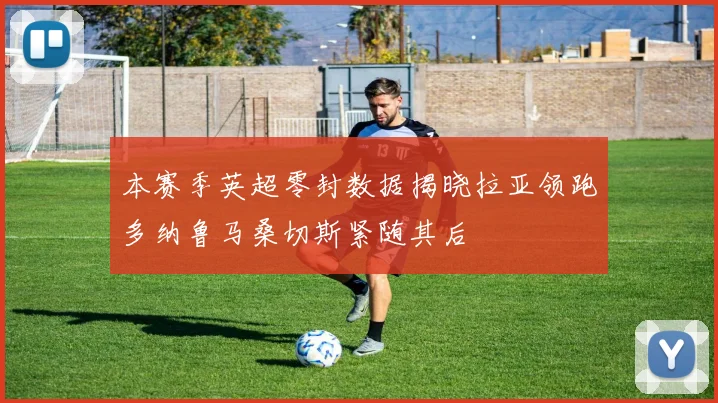 本赛季英超零封数据揭晓拉亚领跑多纳鲁马桑切斯紧随其后