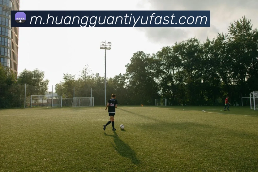 多媒体互动体验